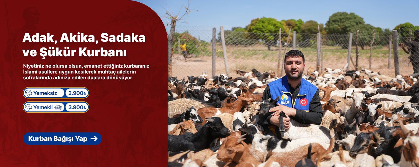 Kurban Bağışı